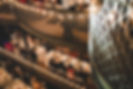 music hall of williamsburg 10.jpg