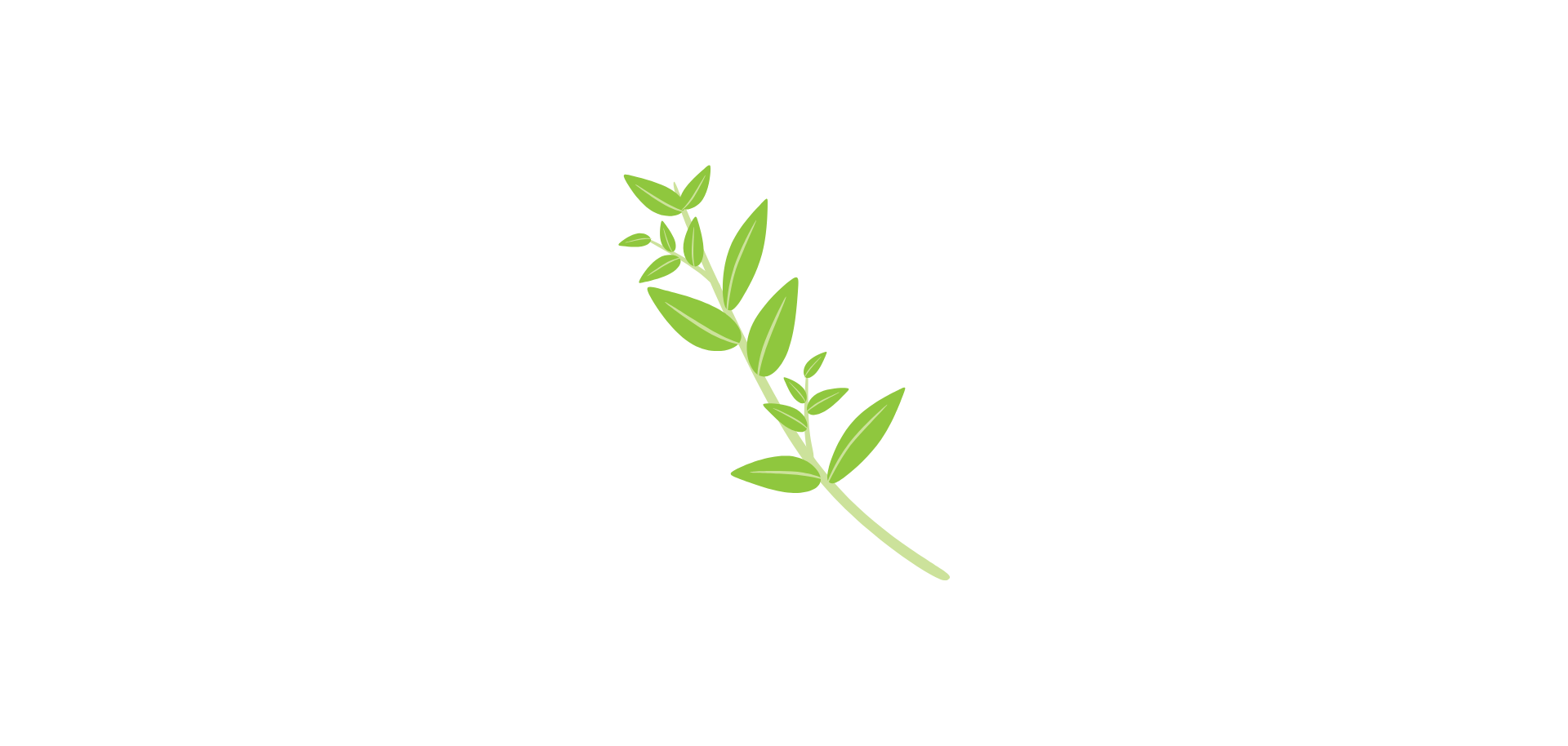 Writer: In Thyme Creative Team