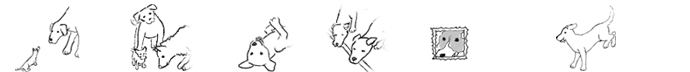 Header-dom1.gif
