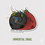 Thumbnail: Holiday Snails