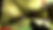 Laboratory Level.PNG