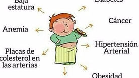 Consecuencias de una Mala Alimentación