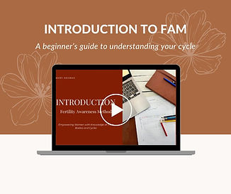 FAM 101 Sales page (1).jpg