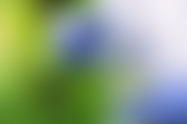 Cannabinoids Block Cellular Entry of SARS-CoV-2 and the Emerging Variants