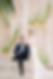 Wedding Planner en Cataluña