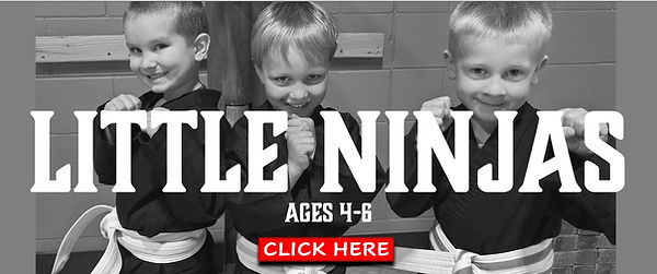 Little Ninjas Botton.jpg