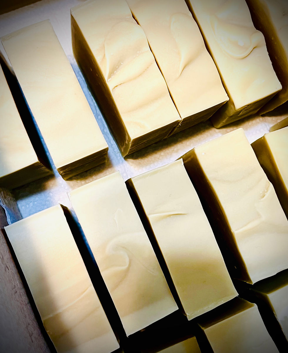 Thumbnail: Artisan Laurel Olive Oil Aleppo Soap Bars with visible rich textured tops and traditional look