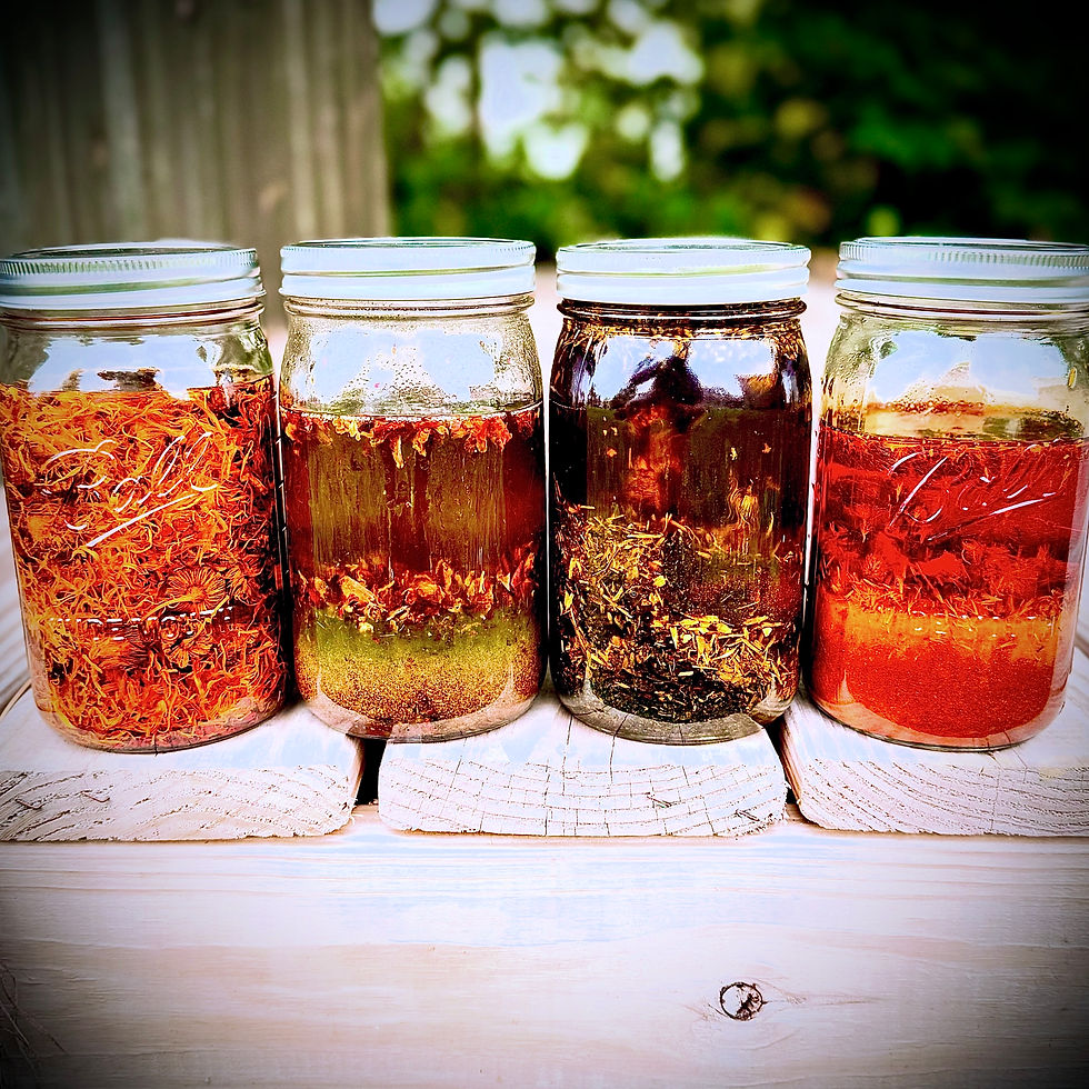 Small-batch botanical oil infusions in glass jars showcasing natural ingredients used in handmade soap and skincare