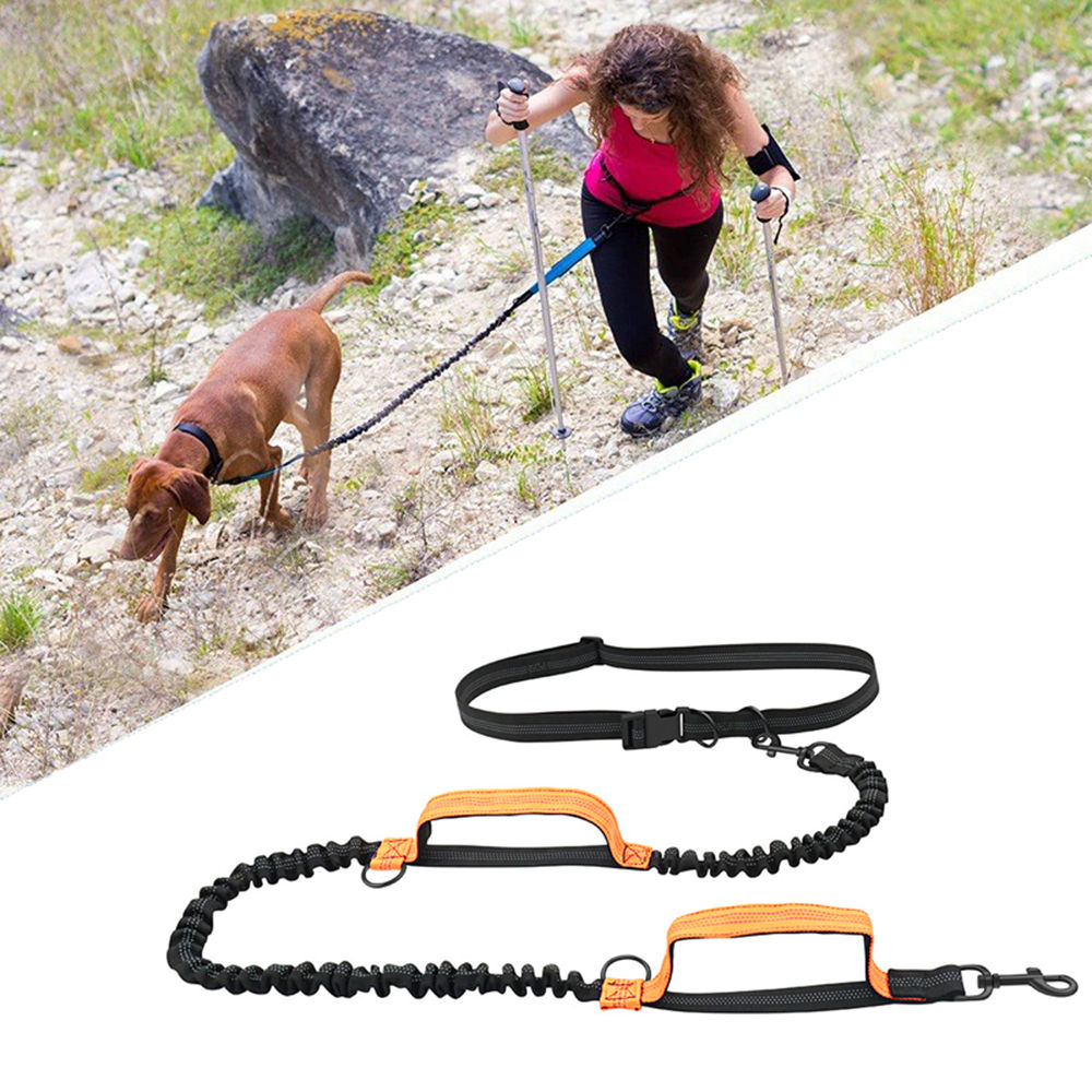 Premium Hands-Free Dog Lead – Adjustable Waist Belt, Dual Handles & Shock Absorb