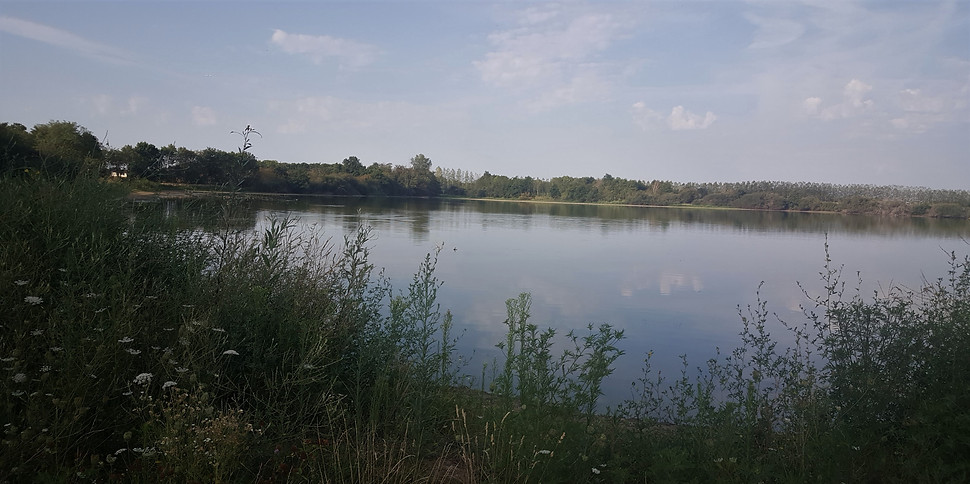 20220805_084658.jpg