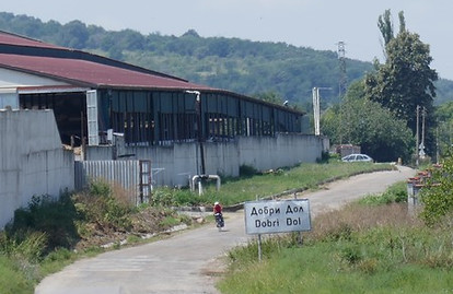 1217.JPG