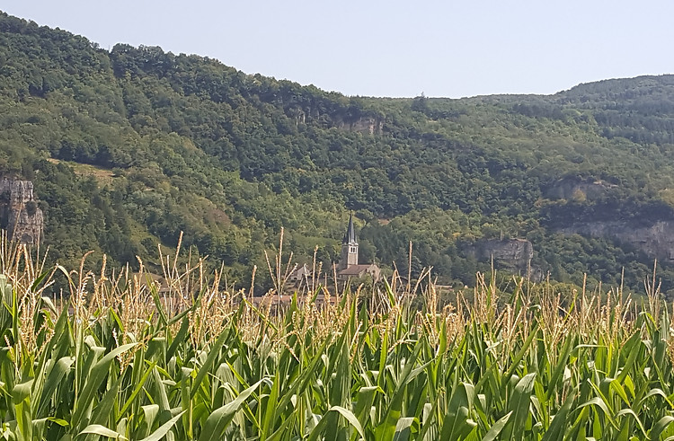 20220805_123630.jpg