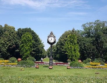 1136.jpg