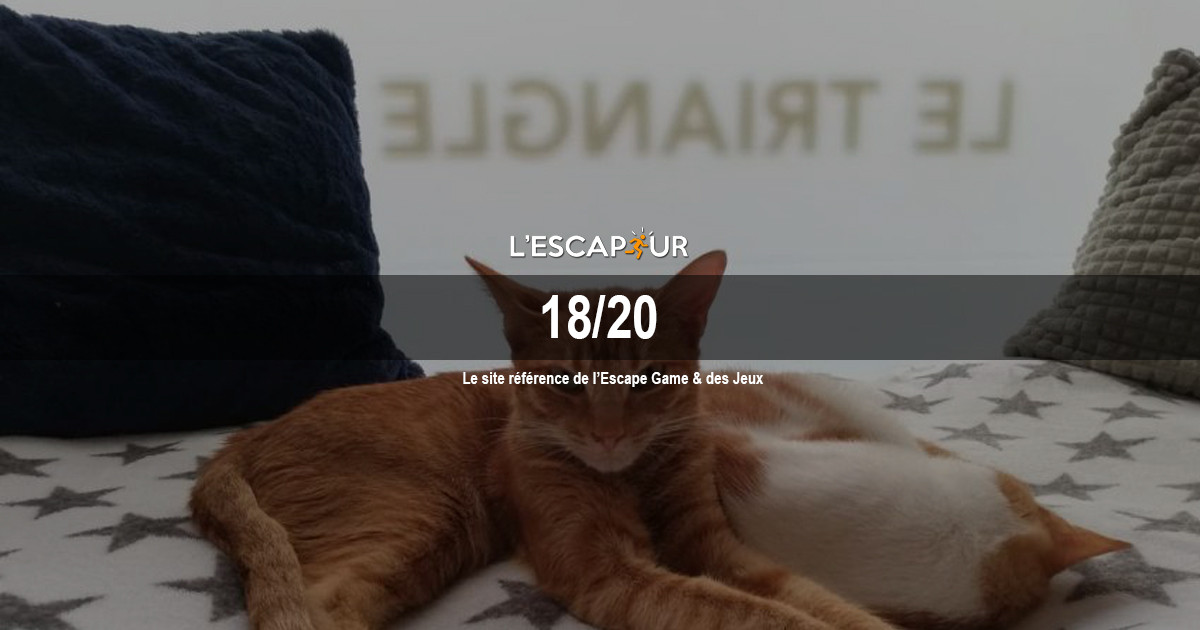 La Planète des Chats Le Triangle Escape Game Paris 8ème Avis