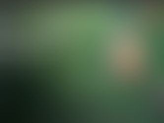 TRAVAIL SUR LES POUSSES DES PINS