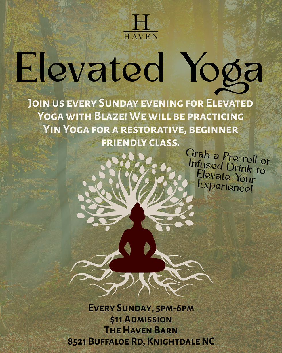 Elevated Yoga with Blaze