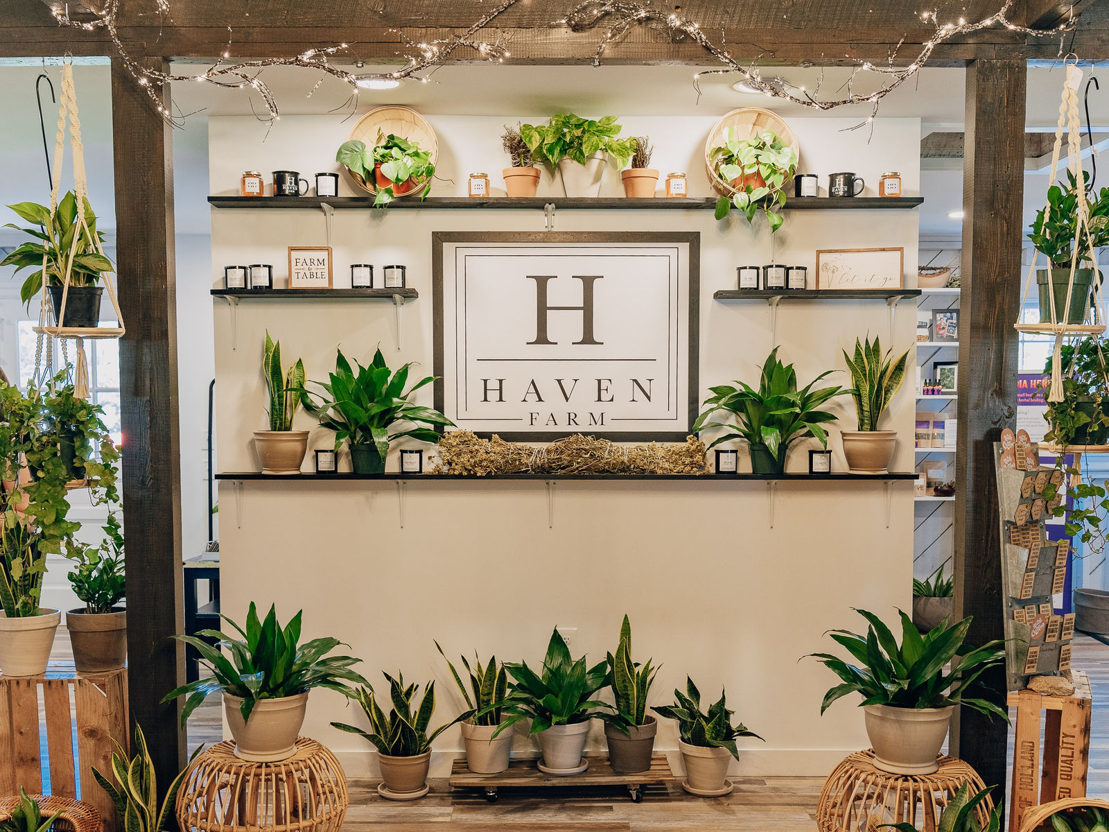 Haven Farm Venue & Shoppe photo 22