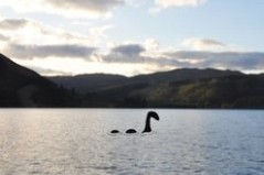 nessie.jpg