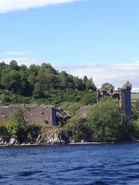 DSC05803 - Copy.JPG