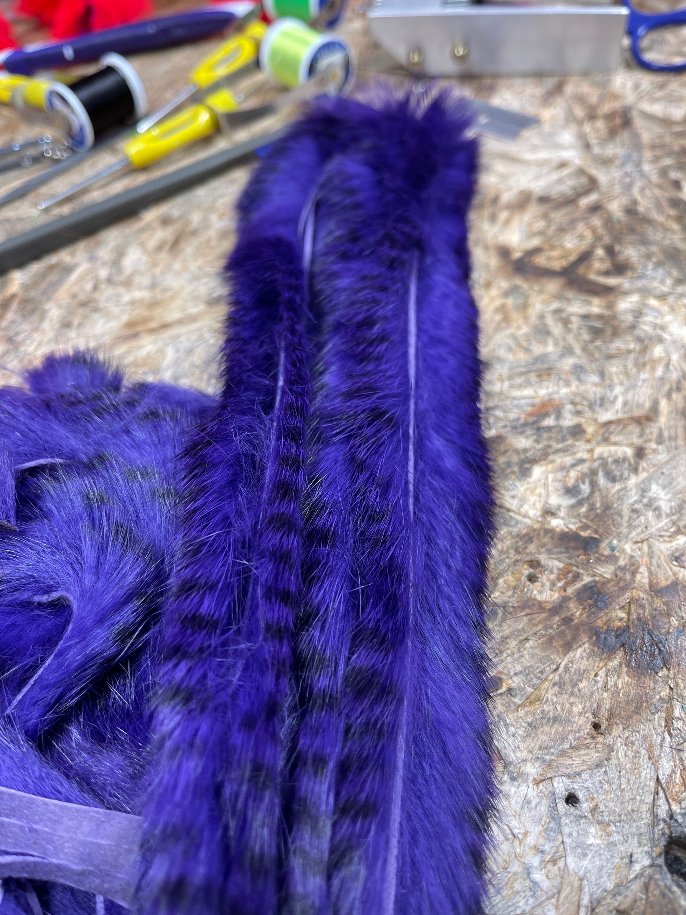 Black Barred Dark Purple