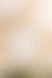 flower cookie decoration spring birthday party activities