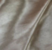 champagne beige nude satin shiny napkin linen rental michigan event party wedding rentals grand rapids detroit lansing flint