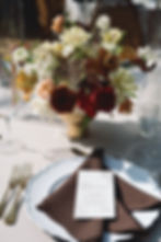 brown polyester napkin rental colored napkins event design rentals michigan weddings party rentals grand rapids detroit flint