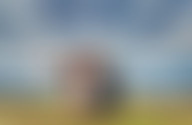 10 Reasons Why You Need To Practice Yoga Now!