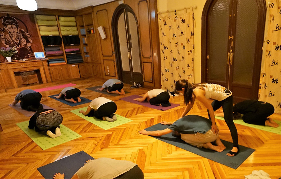 Vinyasa Flow Yoga Class