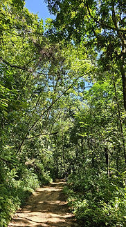 IMG-20250223-WA0014.jpg