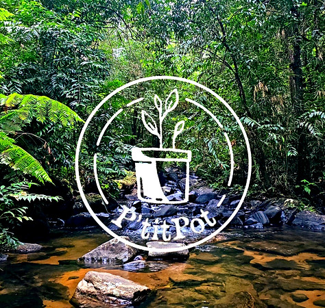 PtP Logo_edited_edited_edited_edited.jpg