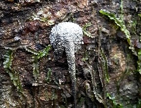 20241228_161057_edited.jpg