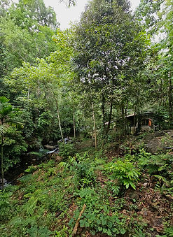 IMG-20250611-WA0015[1]_edited.jpg