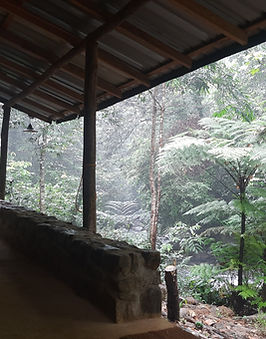 20241129_132725.jpg