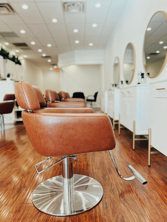Salon Chairs