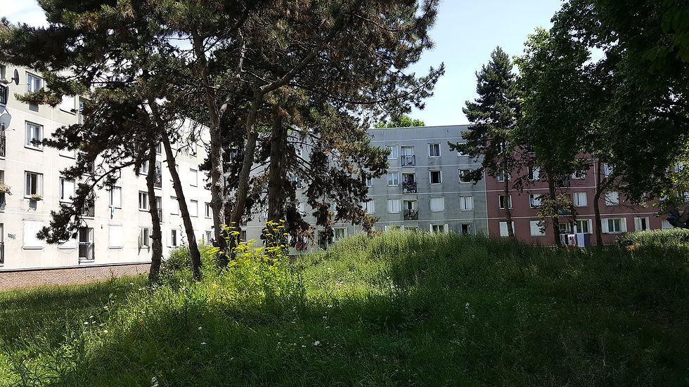 Plan guide Paysage Abreuvoir - ©arpentère