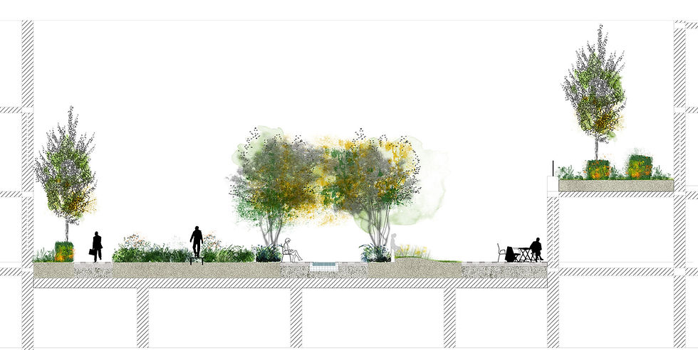 Concours Kleber - Coupe transversale