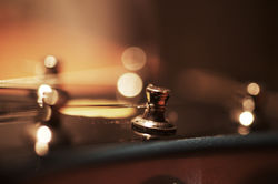 fotografia detalles (Paz Alcaraz)