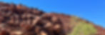 unnamed_edited.jpg