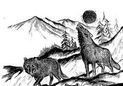 Wolfs___wood_etching2-3