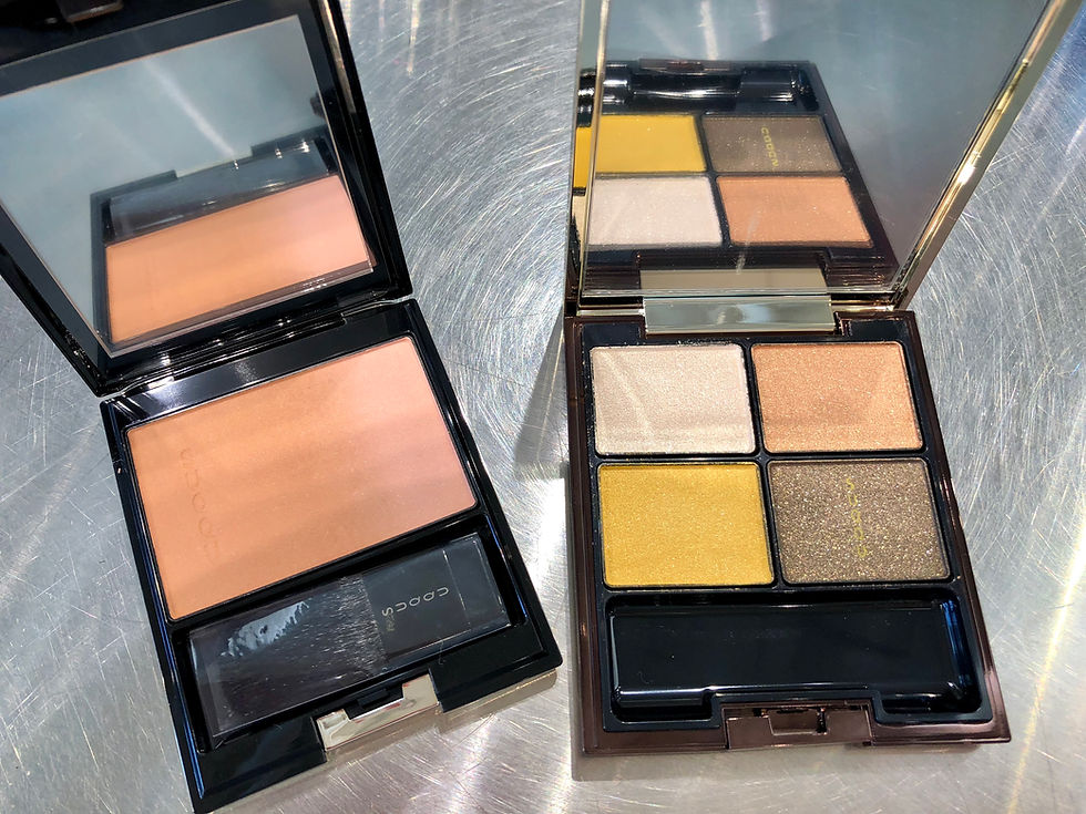 Suqqu Cosmetics Design Eyes #119 and Blusher #2