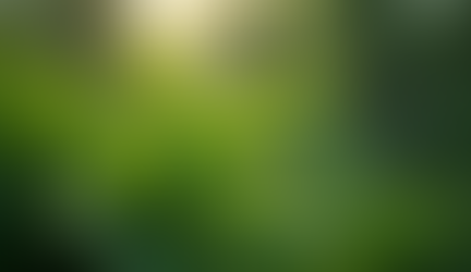 Retinol vs Bakuchiol Which One is Better for Your Skin