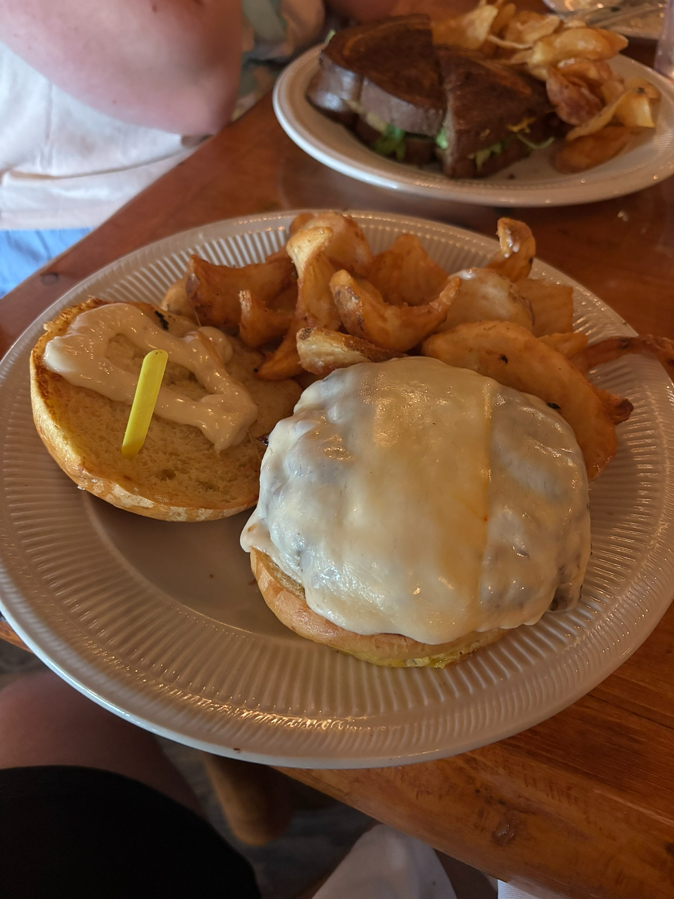 The Manistee Burger - Featuring wagyu beef, Muenster cheese, onion jam, garlic aioli, tomato, and arugula (I opted to remove the arugula and tomato). The onion jam and garlic aioli provided the perfect flavor balance. Served W/ Sidewinder Fries