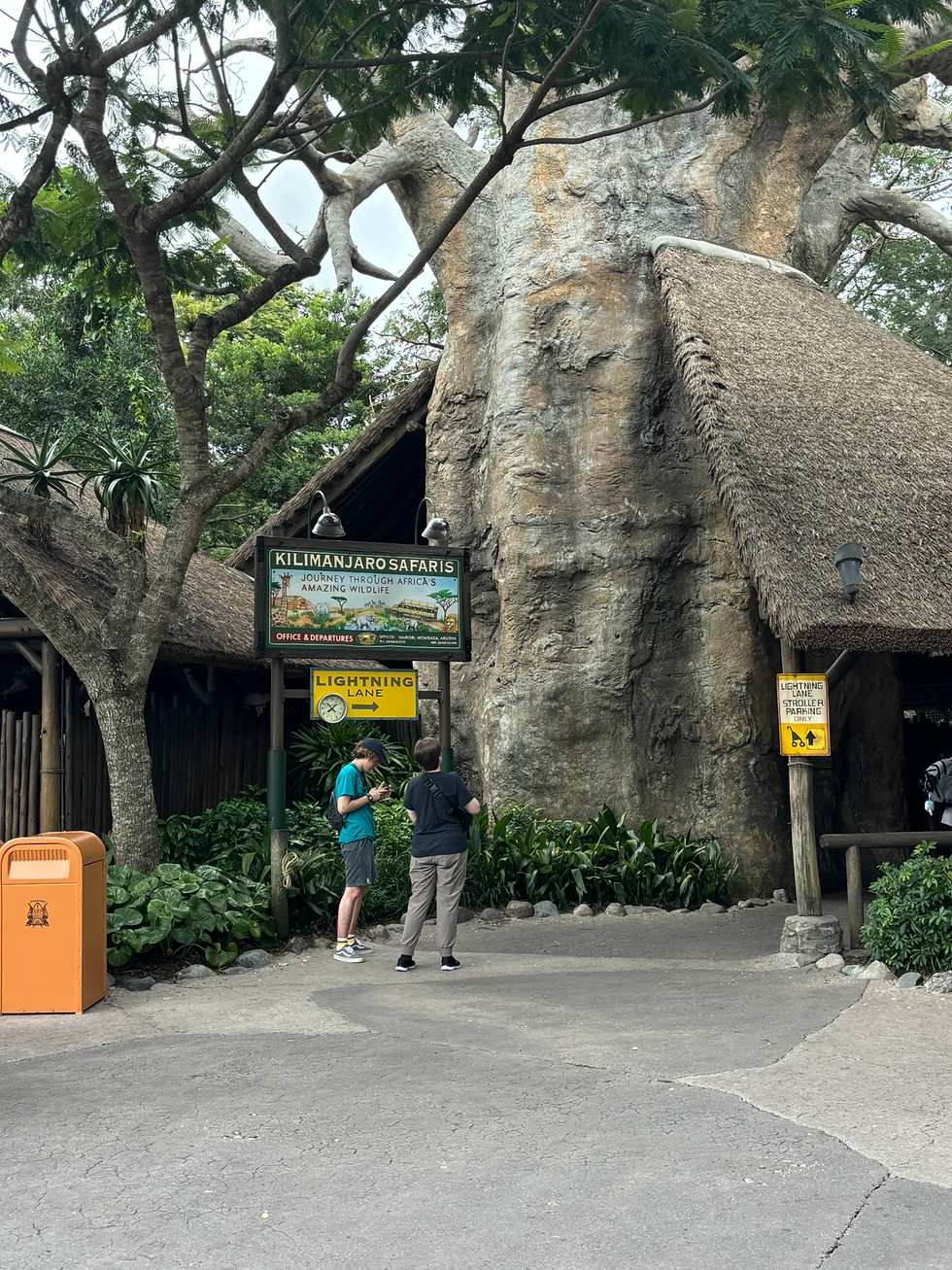 For one of the best wild life safaris around, take a ride on Kilimanjaro Safaris. You will see animals from all over!