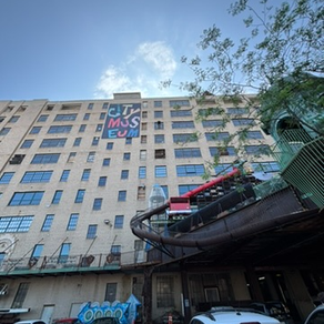 An Oddity You Must See at the City Museum!