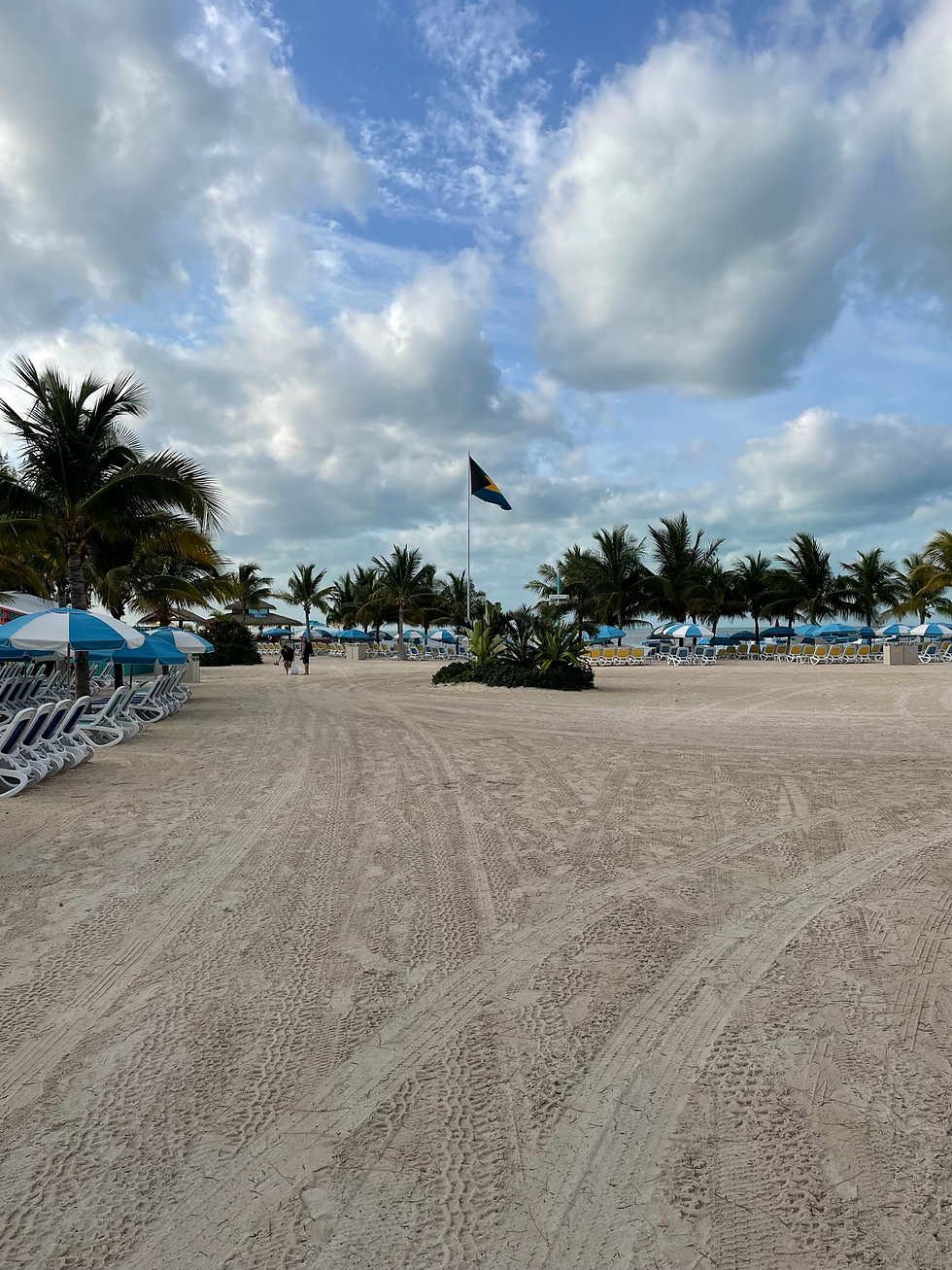 There Is Chaise Loungers As Far As The Eye Can See!