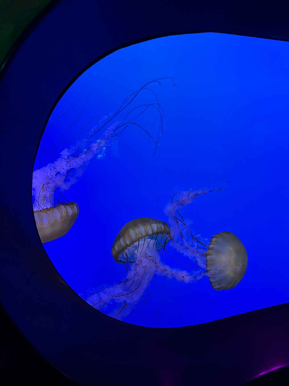 They make look cool, however i'm not a fan of them on the beach
