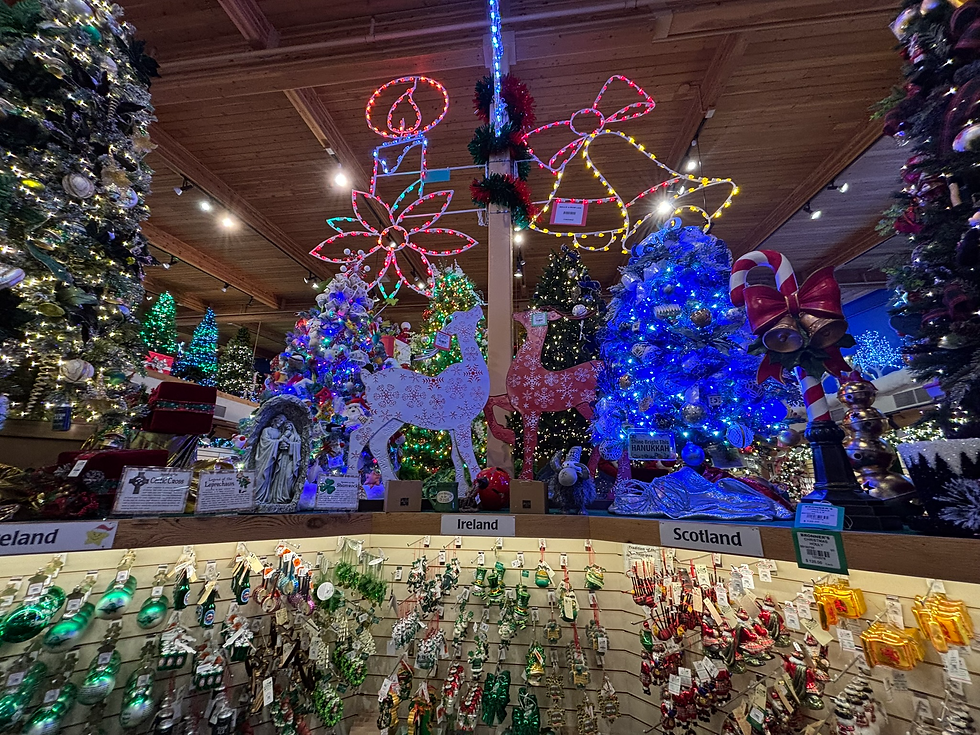 This Place Is Lit Like A Christmas Tree!