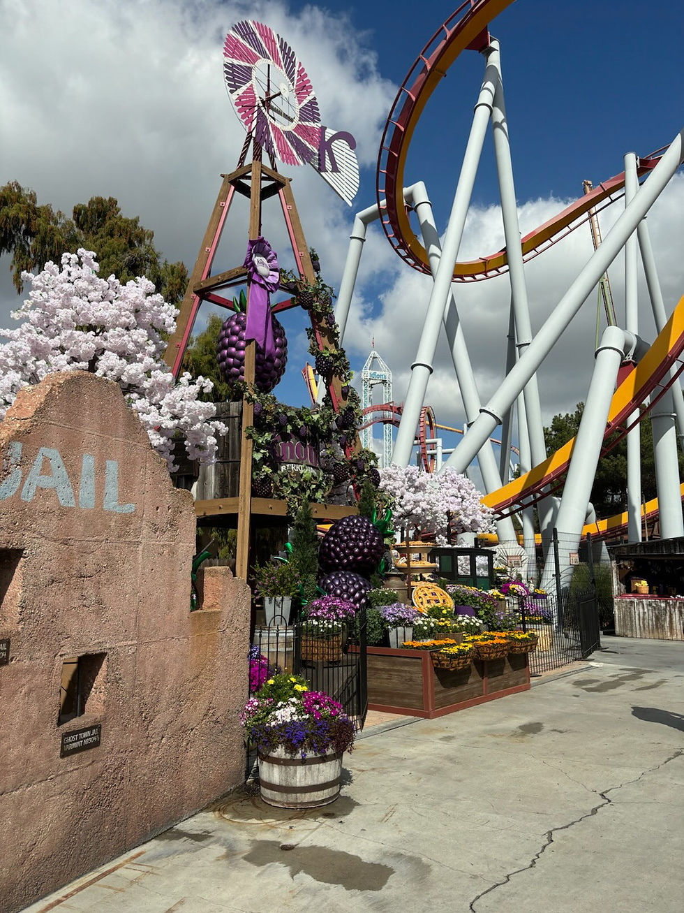 Boysenberry Festival is Upon Us!