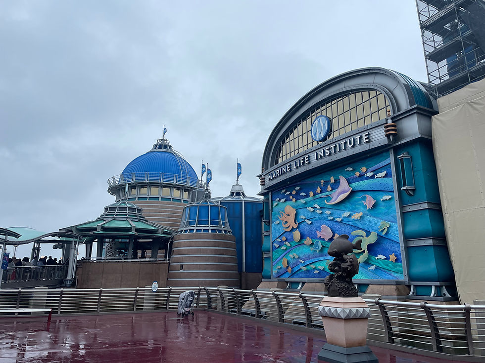 This Looks Familiar To One of the Finding Nemo Movies